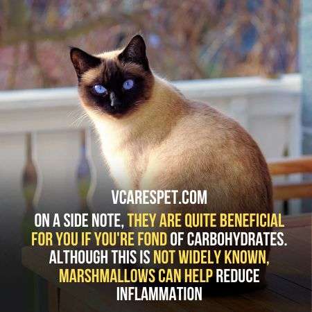 Marshmallows are also beneficial for your cats