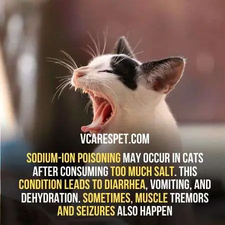 Pankcakes may cause sodium poisoning in cats