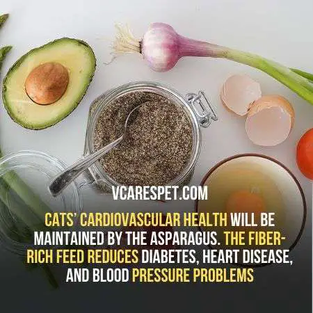 Cats’ cardiovascular health will be maintained by the asparagus