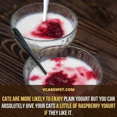 Cats are more likely to enjoy plain yogurt