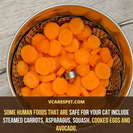 Human foods that are safe for your cat include steamed carrots, asparagus, squash, cooked eggs and avocado.