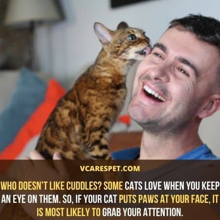 If your cat puts paws at your face, it is most likely to grab your attention