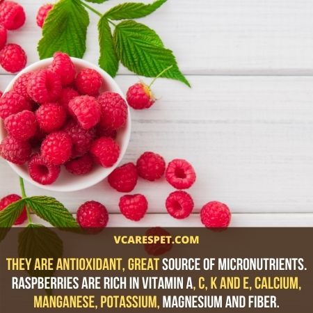 Raspberries are rich in vitamin A, C, K and E, calcium, manganese, potassium, magnesium and fiber