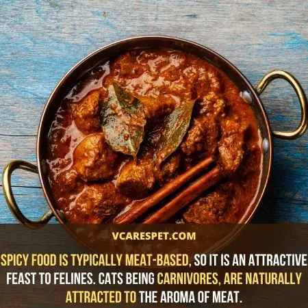 Spicy food is typically meat-based, so it is an attractive feast to cats