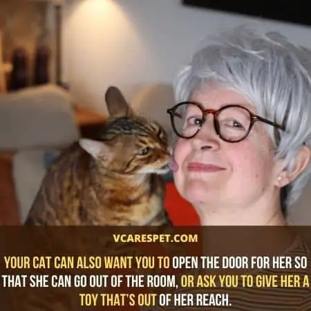 Your cat can also want you to open the door for her so that she can go out of the room
