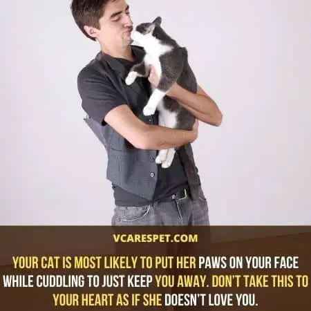 Your cat is most likely to put her paws on your face while cuddling to just keep you away