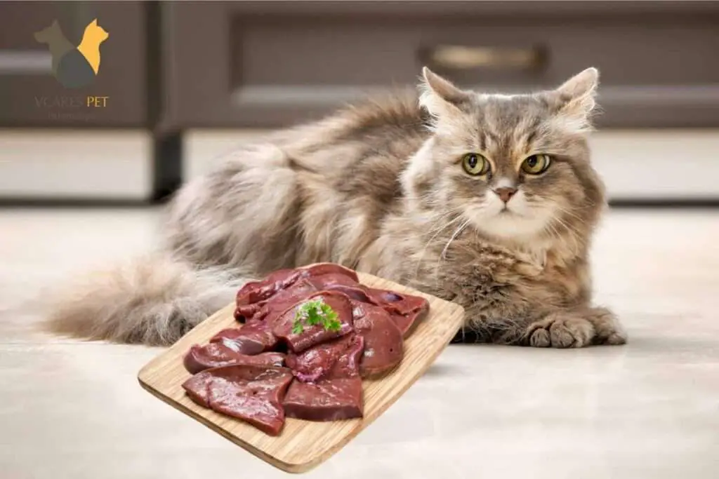 can-cats-eat-beef-liver-vcarespet